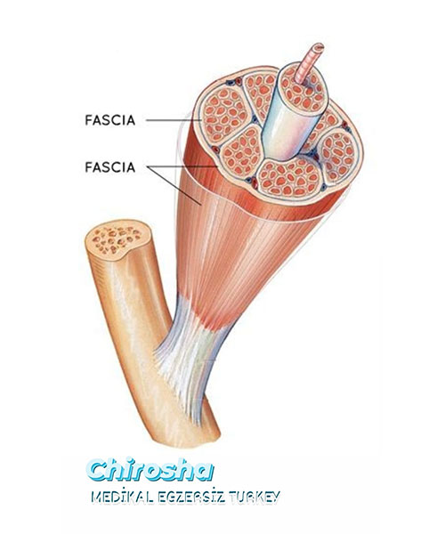 ورزش‌های اصلاحی